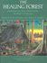 The Healing Forest by Richard Evans Schultes, Robert F. Raffauf (1990, Hardcover)