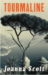 Tourmaline by Joanna Scott (2002, Hardcover)