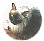 jewelsrus2
