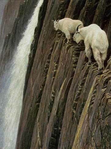 Robert BATEMAN Sheer Drop GICLEE CANVAS Mountain Goats  