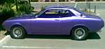 purplecelica-2009