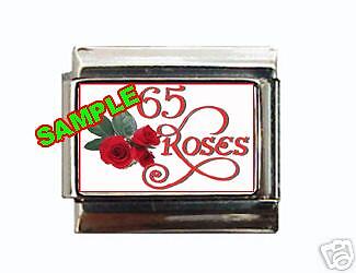 Cystic Fibrosis 65 Roses #1 Custom Italian Charm  