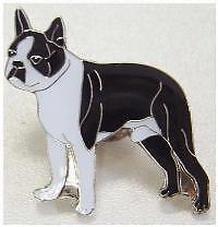 Boston Terrier Dog Push Pin Lapel Brooch Hat #24  