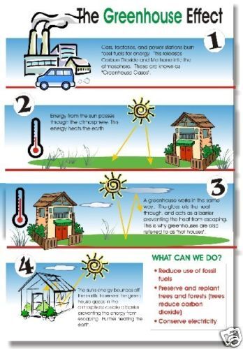 Classroom POSTER   The Greenhouse Effect  