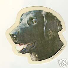 Aufkleber Hunde Flat Coated Retriever°