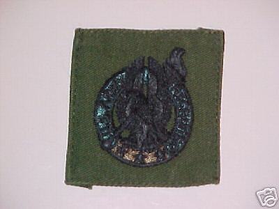 US ARMY USA RECRUITER BADGE USAREC SUBDUED PATCH  